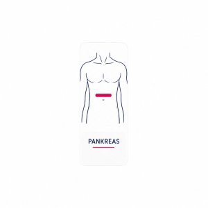 NG Pankreas-Wellnesstape – 8 Stück