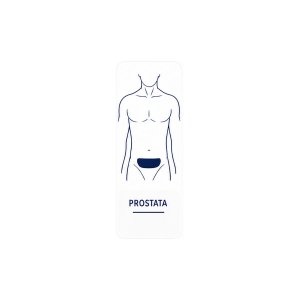 NG plaster wellness Prostata – 20 sztuk